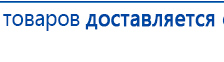 СКЭНАР-1-НТ (исполнение 02.1) Скэнар Про Плюс купить в Ачинске, Аппараты Скэнар купить в Ачинске, Дэнас официальный сайт denasolm.ru
