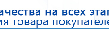 Прибор Дэнас ПКМ купить в Ачинске, Аппараты Дэнас купить в Ачинске, Дэнас официальный сайт denasolm.ru